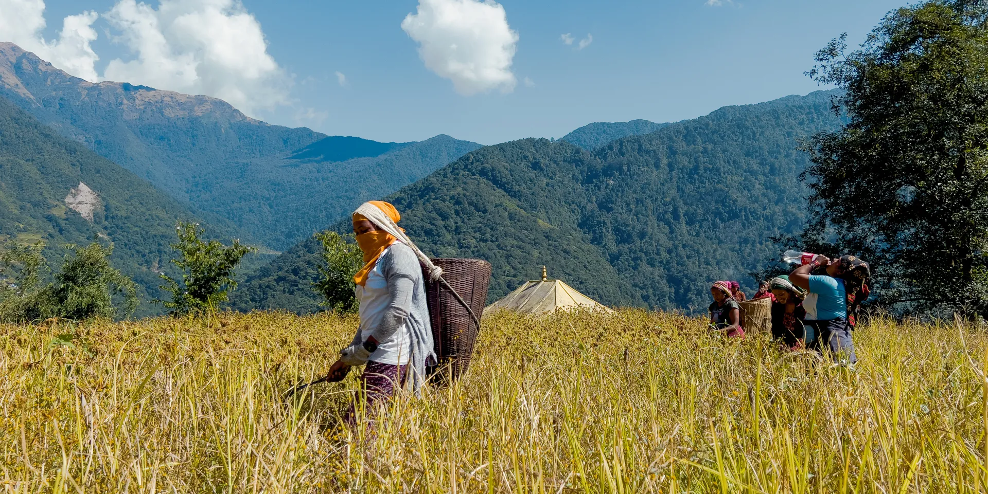 Gurung working