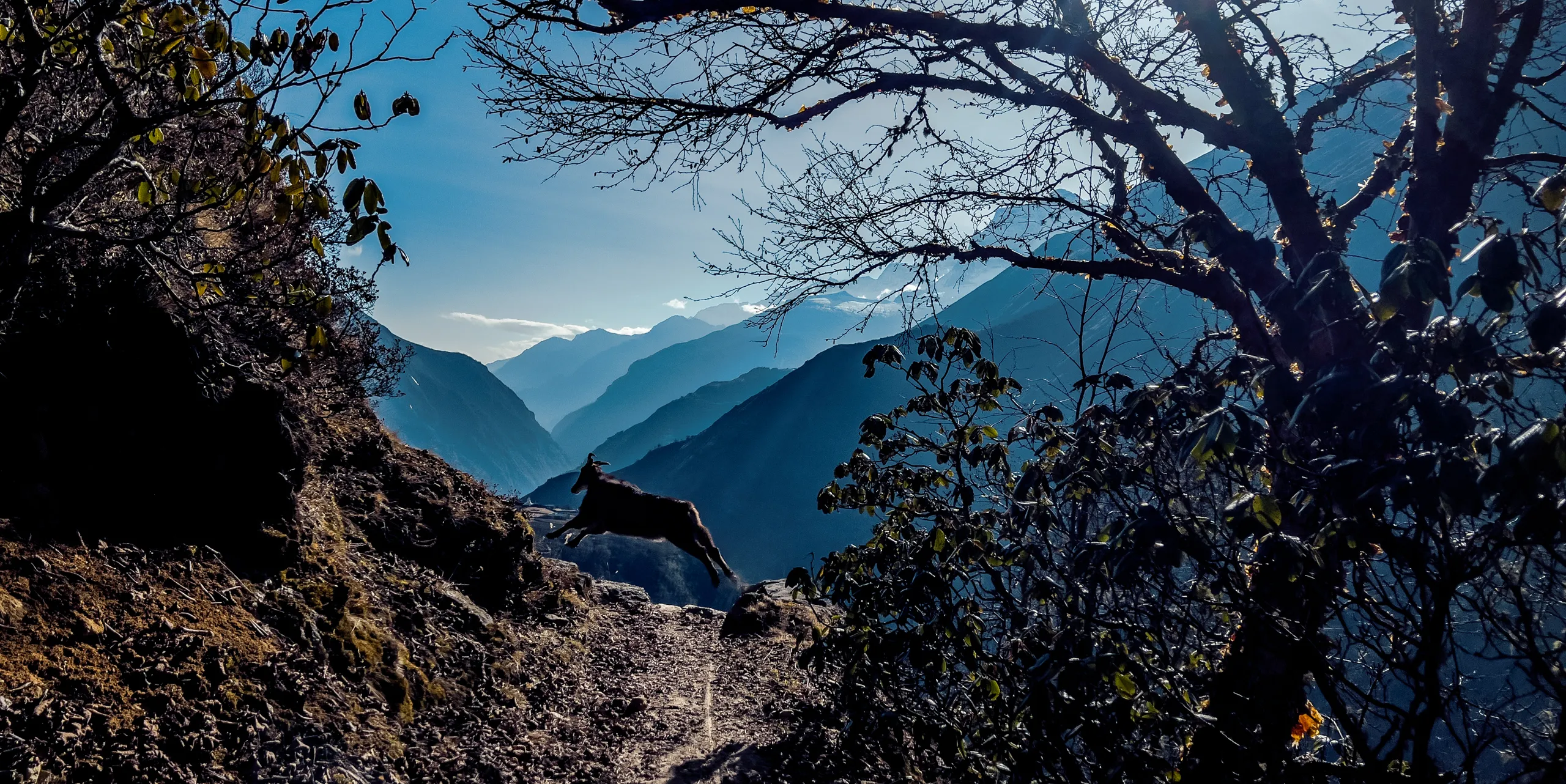 Everest Slider-18