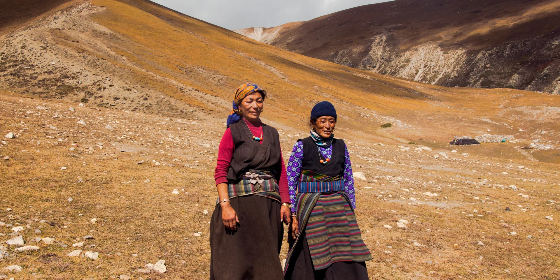 Nomads in the Himalayas